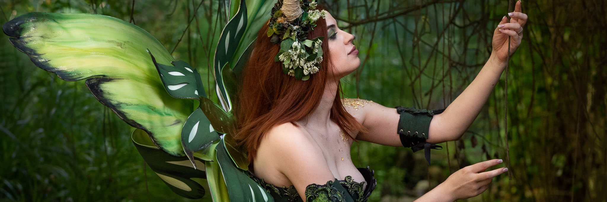 Framed pictures from my exhibitions